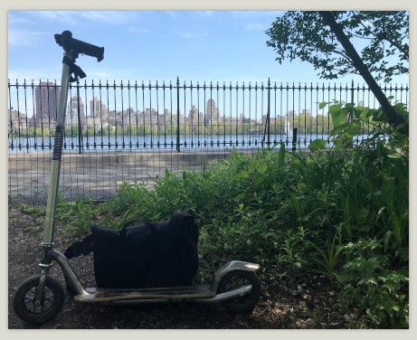 Kickped scooter pic in Central Park NYC