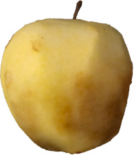 a peeled exposed apple